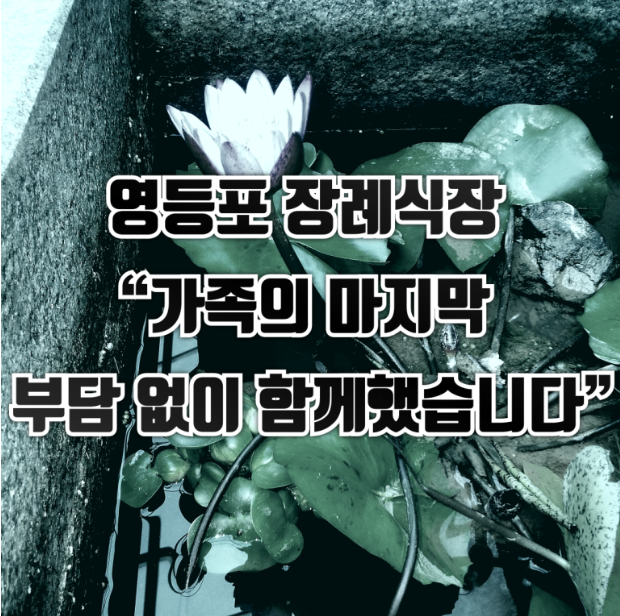 영등포병원장례식장 후기 99만원으로 치른 현실적인 가족장 비용